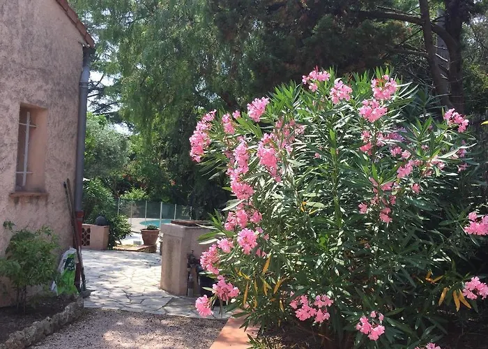 Les Cigales * Saint-Raphael (Var)